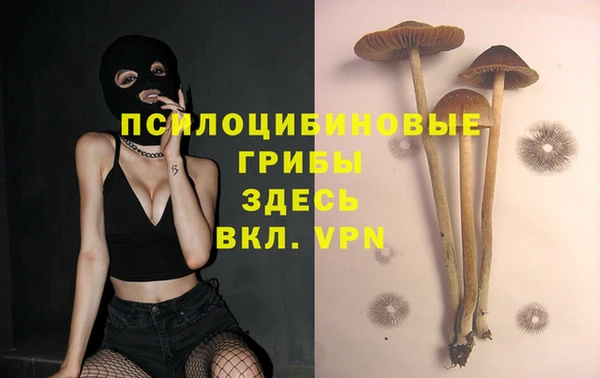 твердый Заволжье