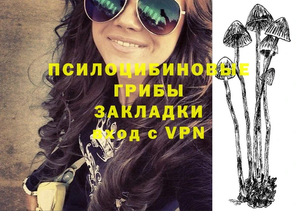 спиды Заволжск