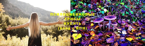 твердый Заволжье