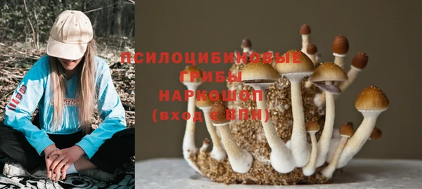 мдма Заводоуковск